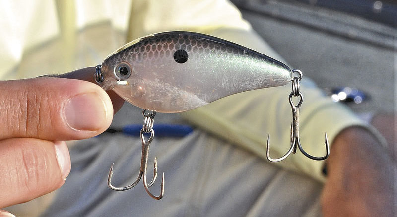 Jordan Lake’s fall bass fishing gives sportsmen a real alternative to deer hunting