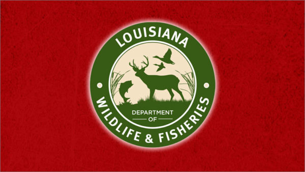 Deer tag verification phone number has changed