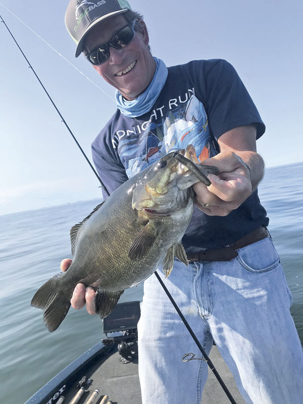 Bass bed fishing study Sportsman Network