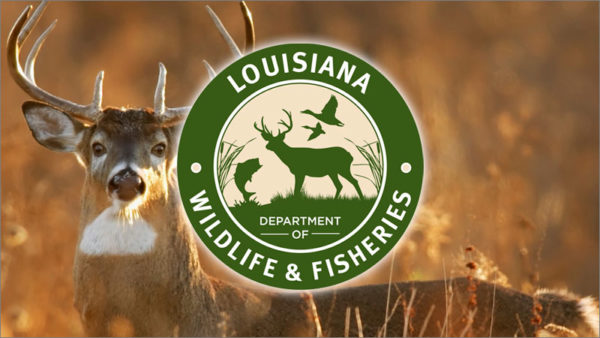 LDWF to hold public hearings May 27-28 on CWD NOI affecting Franklin, Madison, Tensas parishes
