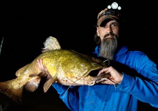 Chad Parker’s Pee Dee River flathead catfish