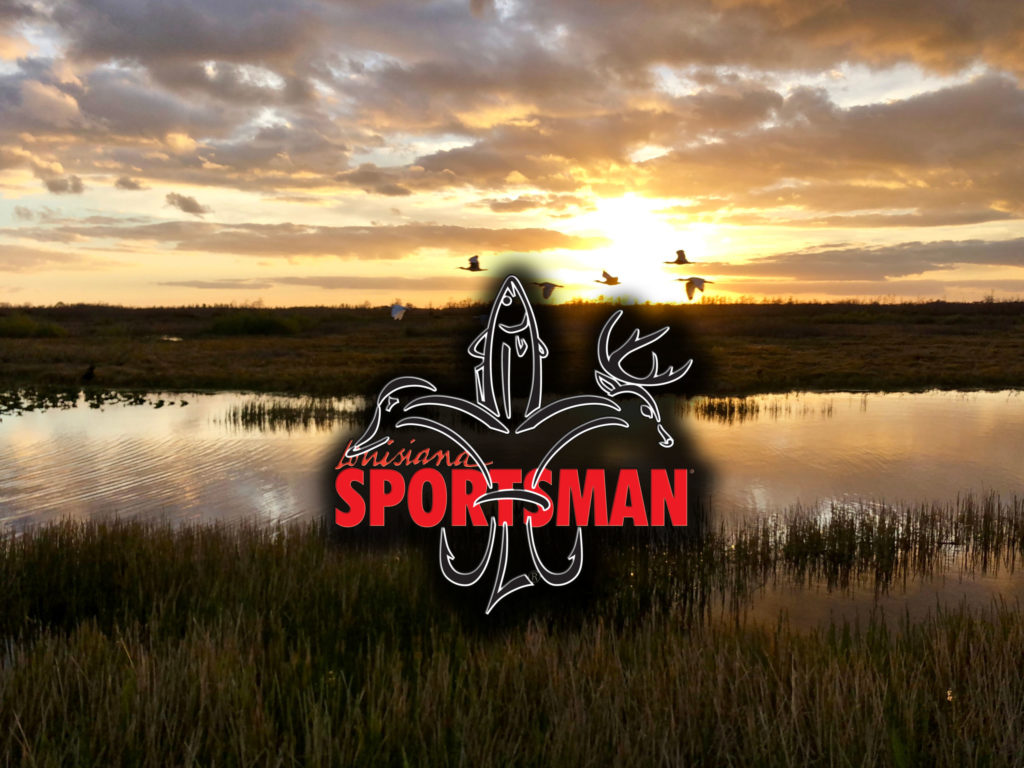 Giant,Orange,Sun,Sets,Behind,The,Bayou,Of,A,Cypress